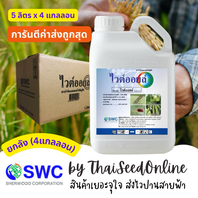 Chaindrite(เชนไดร้ท์) 📦ยกลัง📦 ไวต์ออยล์ แกลลอน 5 ลิตร (1 ลัง มี 4 แกลลอน)