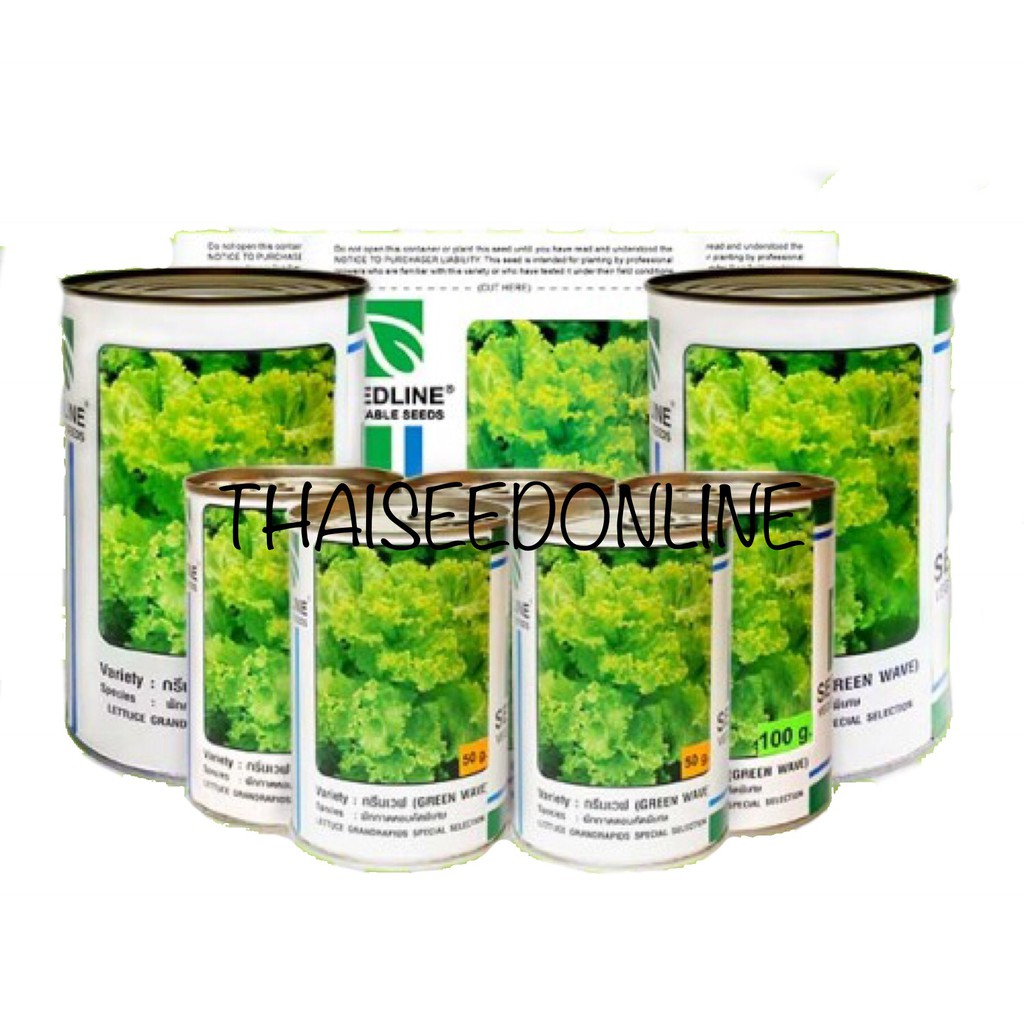SLCOM ผักกาดหอม กรีนเวฟ ผักสลัด 50g ตราซีดไลน์ Lettuce Green Wave แกรนด์แรปิดส์
