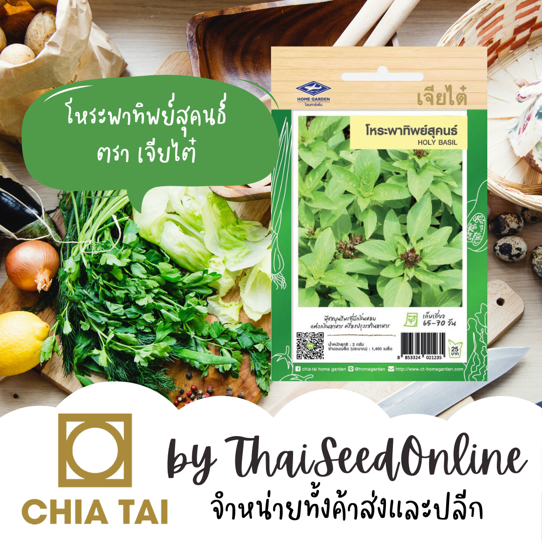 CTF1 เมล็ดพันธุ์ โหระพาทิพย์สุคนธ์ 1400เมล็ด ตราเจียไต๋ Sweet Basil