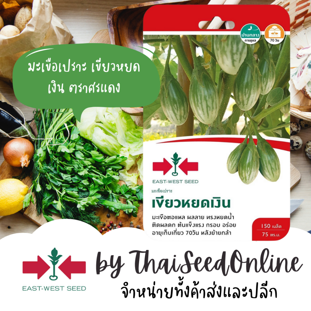 Sorndang(ศรแดง) Sorndang(ศรแดง) GGEW เมล็ดพันธุ์ มะเขือตอแหร มือเขือเปราะ เขียวหยดเงิน ประมาณ 150 เมล็ด ตราศรแดง Eggplant
