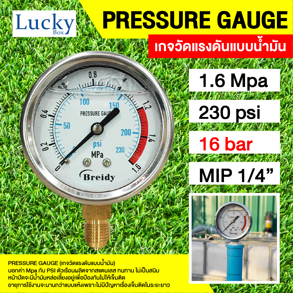 Pressure gauge Oil เกจวัดแรงดันแบบน้ำมัน 1.6 Mpa หรือ 16 Bar(บาร์)