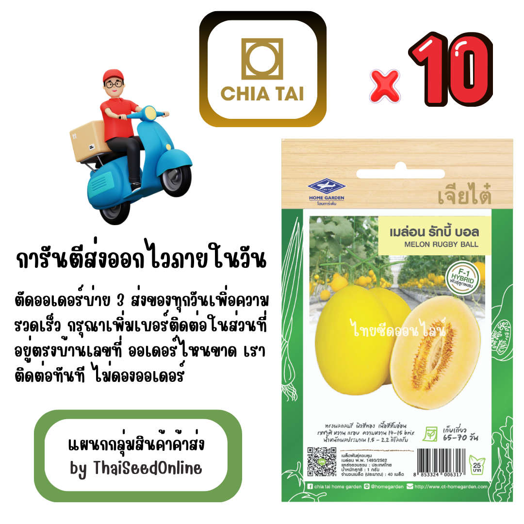 CTF1 x 10 เมล็ดผักซองเจียไต๋ เมล่อน รักบี้บอล สินค้ายกแพ็ค