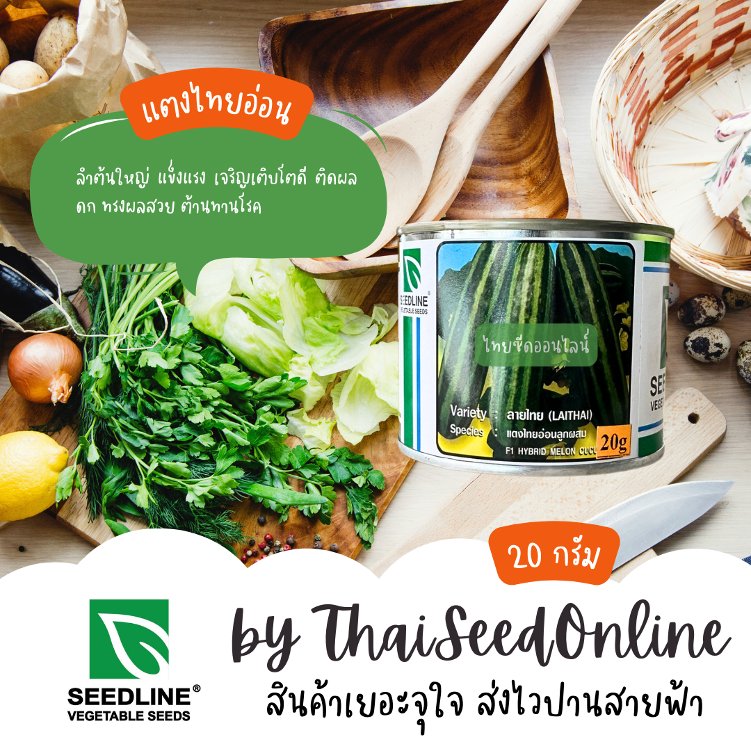 SLCOM แตงไทยอ่อนลูกผสม ลายไทย ตราซีดไลน์ Musk Melon (LAITHAI)