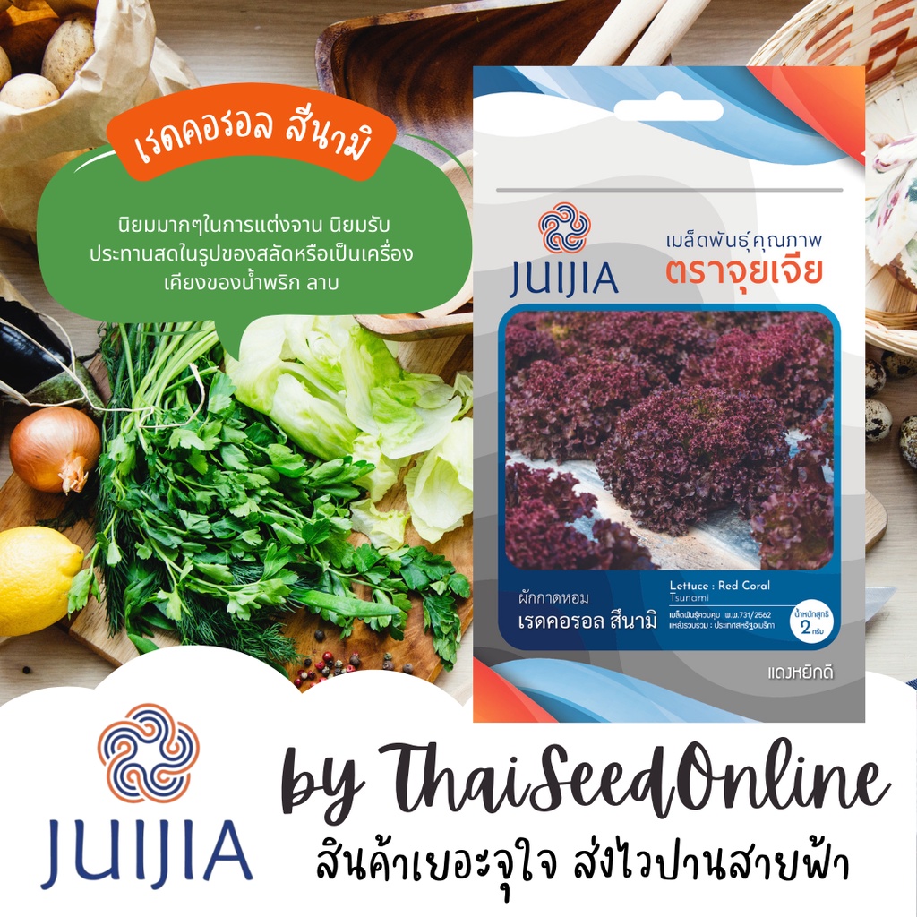 Juijia(จุยเจีย) JJ เมล็ดพันธุ์ จุยเจียสลัด เรดคอรอล ซึนามิ