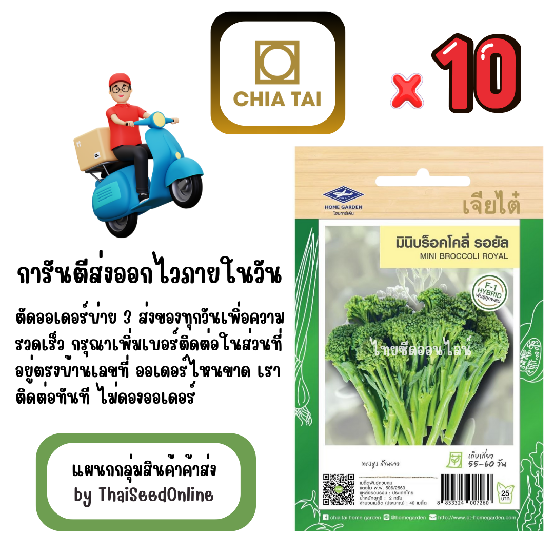 CTF1 x 10 เมล็ดผักซองเจียไต๋ มินิบล็อคโคลี่ รอยัล สินค้ายกแพ็ค