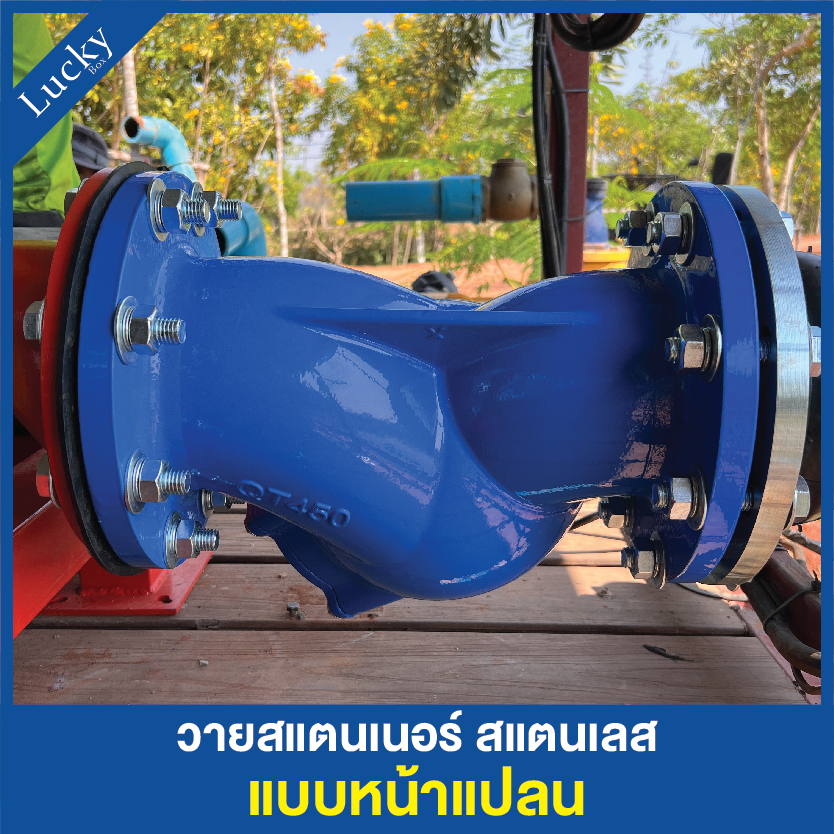 Y Strainer วายสแตนเนอร์ เหล็กหล่อ ขนาด 2 นิ้ว แบบหน้าแปลน 10K