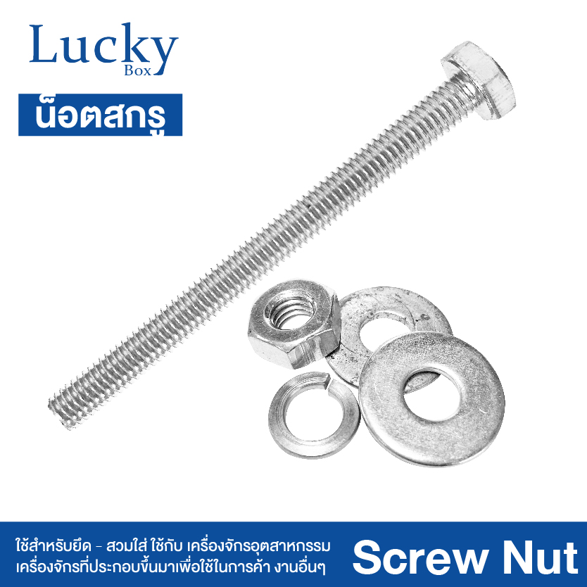 น็อต+สกรู+2แหวน SCREW NUT ขนาด 5/8x6" (5 หุน ยาว 6 นิ้ว)