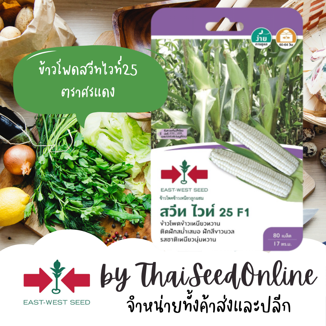 GGEW เมล็ดพันธุ์ซฟ ข้าวโพด ลูกผสม ข้าวเหนียวสวีทไวท์ 25 ตราศรแดง Waxy Corn