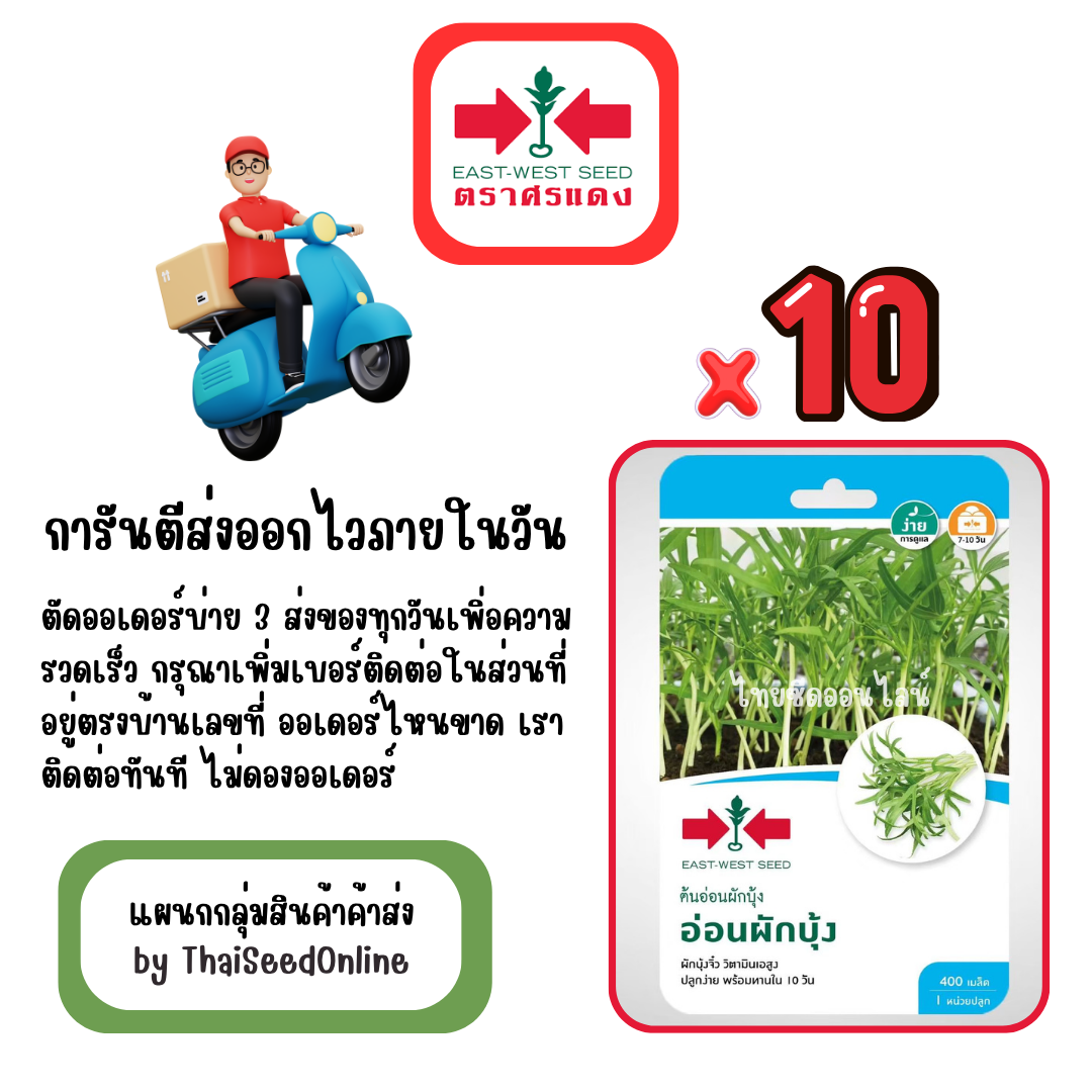 GGx10 เมล็ดผักซองศรแดง อ่อนผักบุ้ง ต้นอ่อนผักบุ้ง สินค้ายกแพ็ค