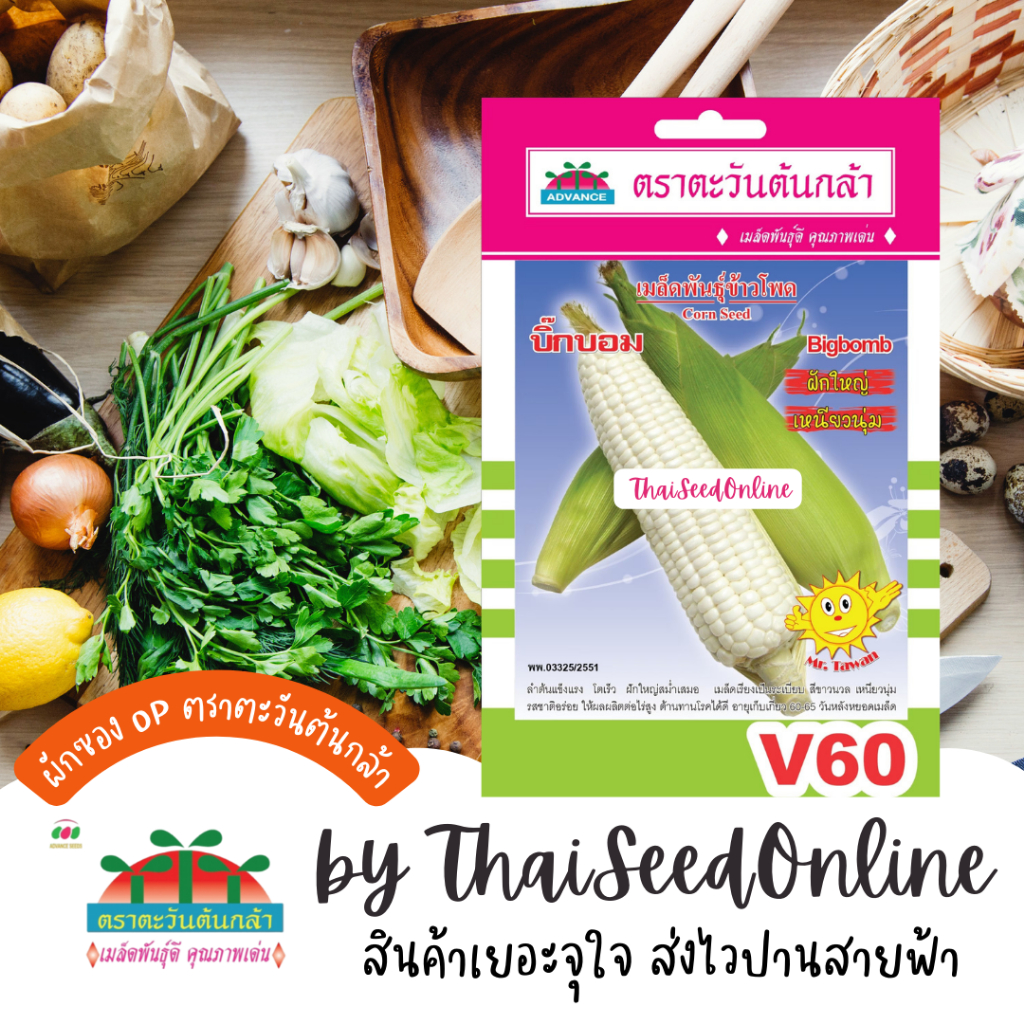 Advance Seeds(ตราตะวันต้นกล้า) ADVOP ซฟ เมล็ดพันธุ์ ข้าวโพดข้าวเหนียว บิ๊กบอม ประมาณ 80 เมล็ด ตราตะวันต้นกล้า V60