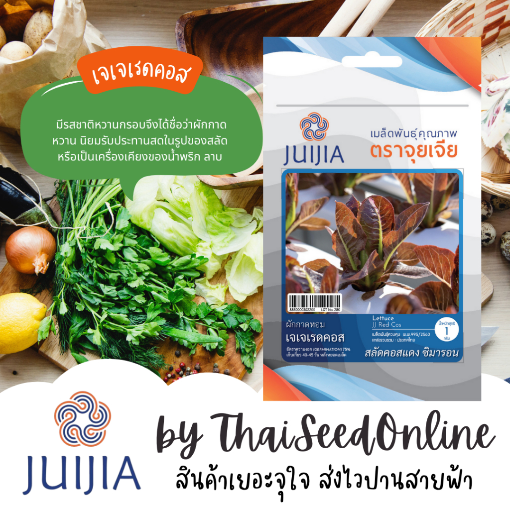 Juijia(จุยเจีย) Juijia(จุยเจีย) JJ เมล็ดพันธุ์ จุยเจียเรดคอส ตราจุยเจีย Red Cos Lettuce