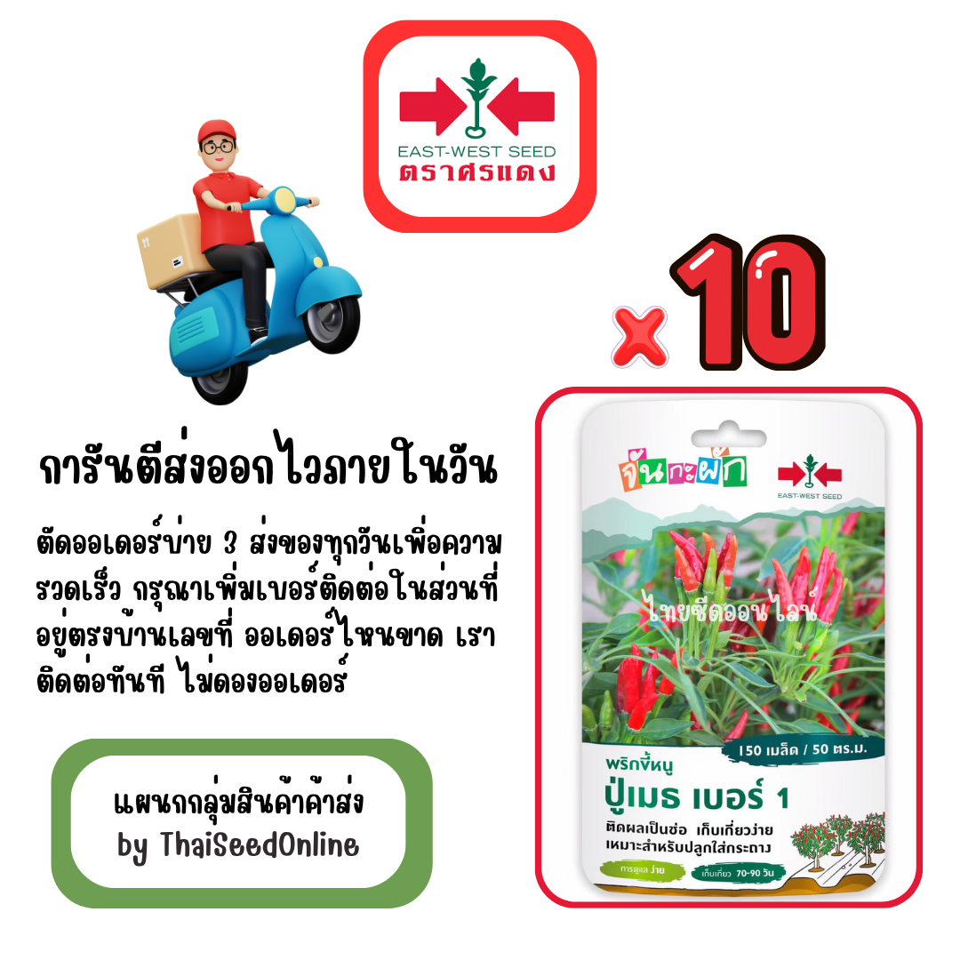 GGx10 เมล็ดผักซองศรแดง ปู่เมธ เบอร์1 พริกช่อ สินค้ายกแพ็ค
