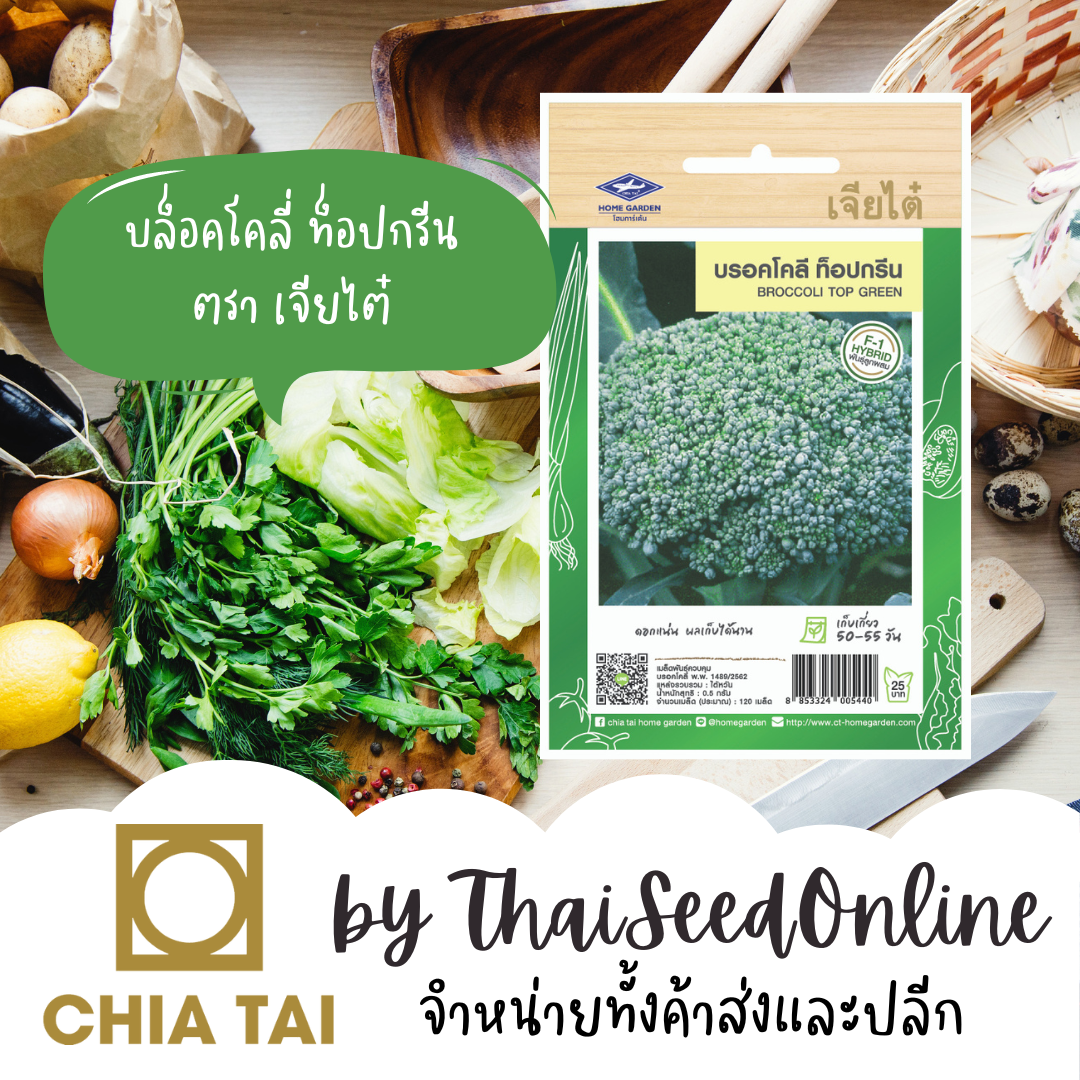 CTF1 เมล็ดพันธุ์ บร็อคโคลี่ ท็อปกรีน ตราเจียไต๋ บล็อคโคลี่ บลอคโคลี่ Broccoli