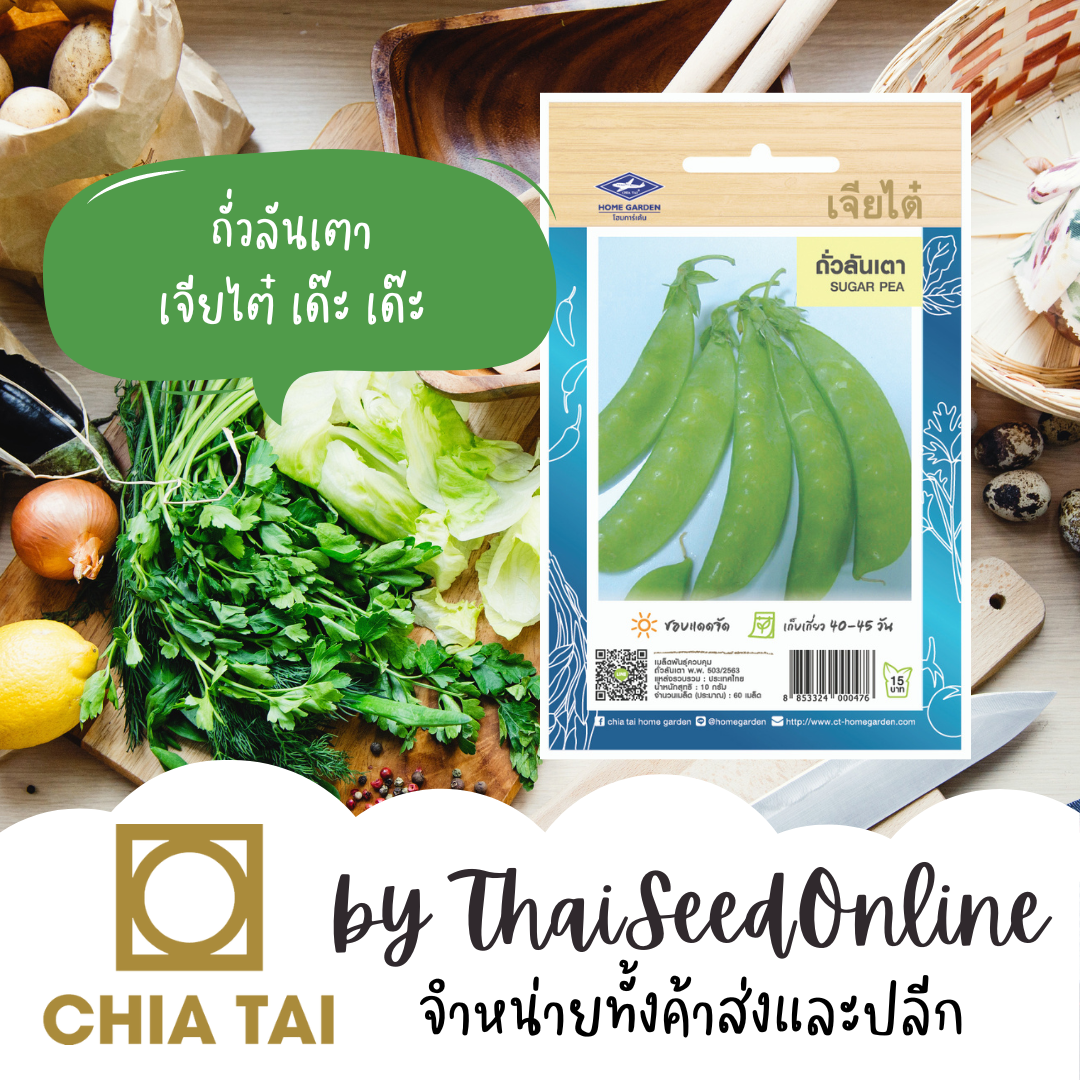 CTOP เมล็ดพันธุ์ ถั่วลันเตา 60 เมล็ด ตราเจียไต๋ Sugar Pea 豌豆