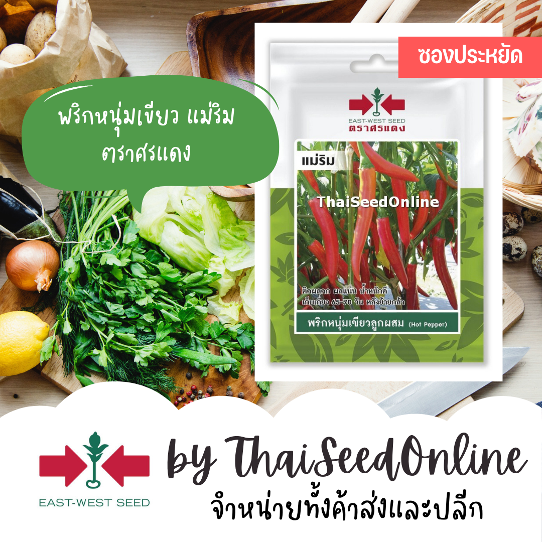 ศรแดง VP3 ซฟ เมล็ดพันธุ์ พริกหนุ่มเขียวลูกผสม แม่ริม ตราศรแดง พริกหนุ่ม Pepper