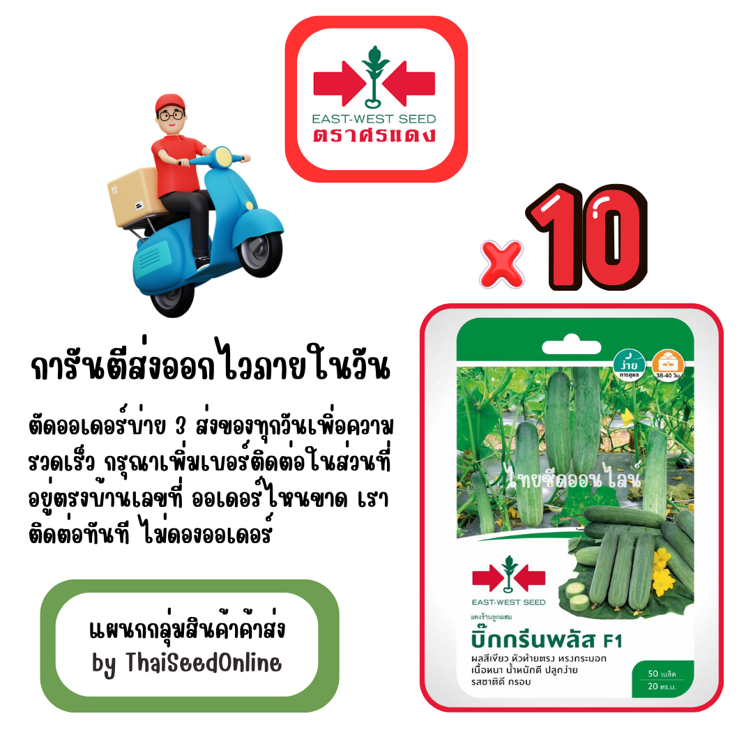 GGx10 เมล็ดผักซองศรแดง บิ๊กกรีนพลัส แตงร้าน สินค้ายกแพ็ค