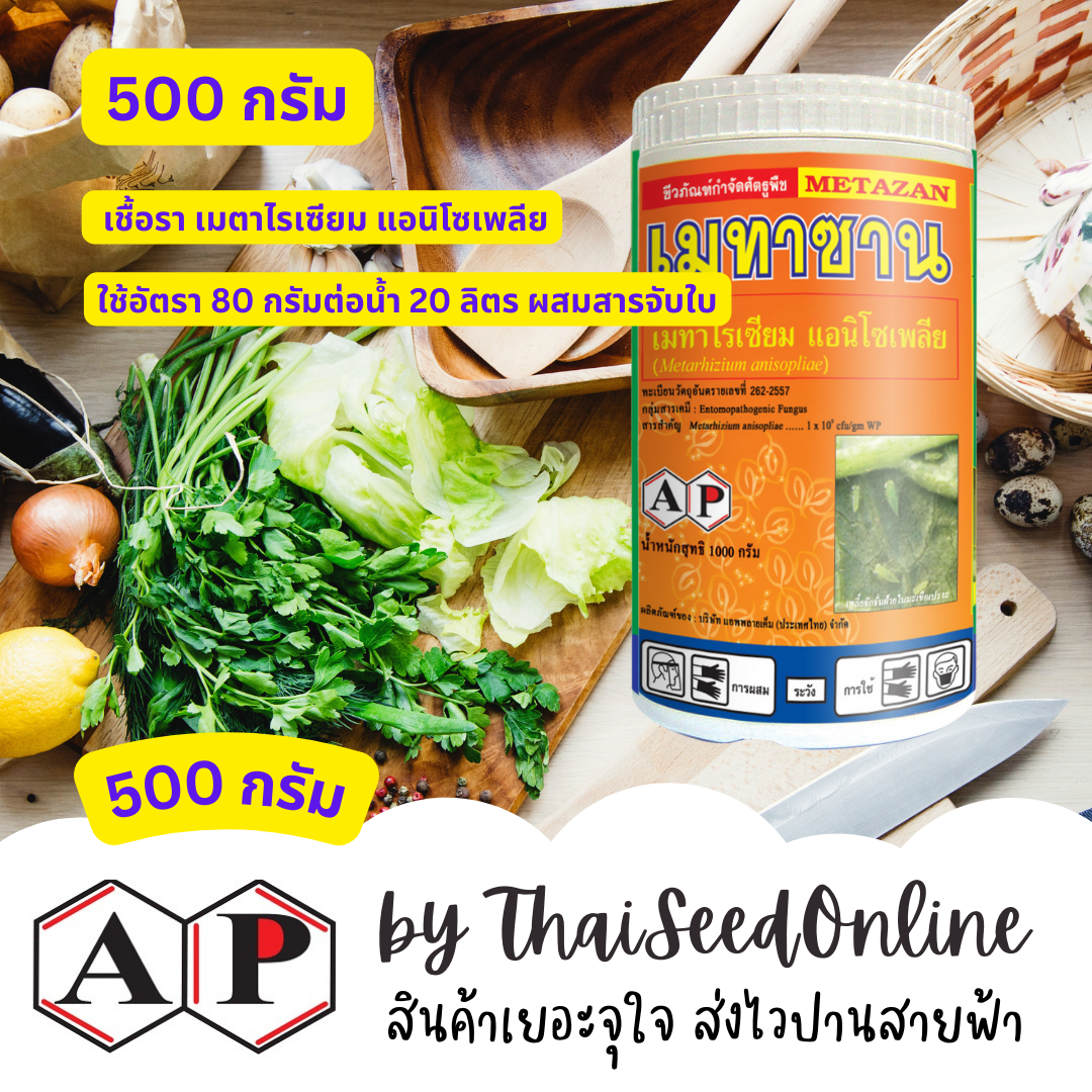 AP เมทาซาน 500 กรัม เชื้อรา เมทาไรเซี่ยม เมตาไรเซียม เมทาไรเซียม ยาฆ่าปลวก เพลี้ย ชีวภาพ