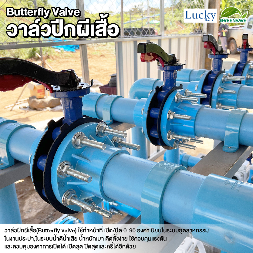 Butterfly Valve ชุดวาล์วปีกผีเสื้อ ขนาด 6 นิ้ว พร้อมข้อต่อหน้าแปลน PVC