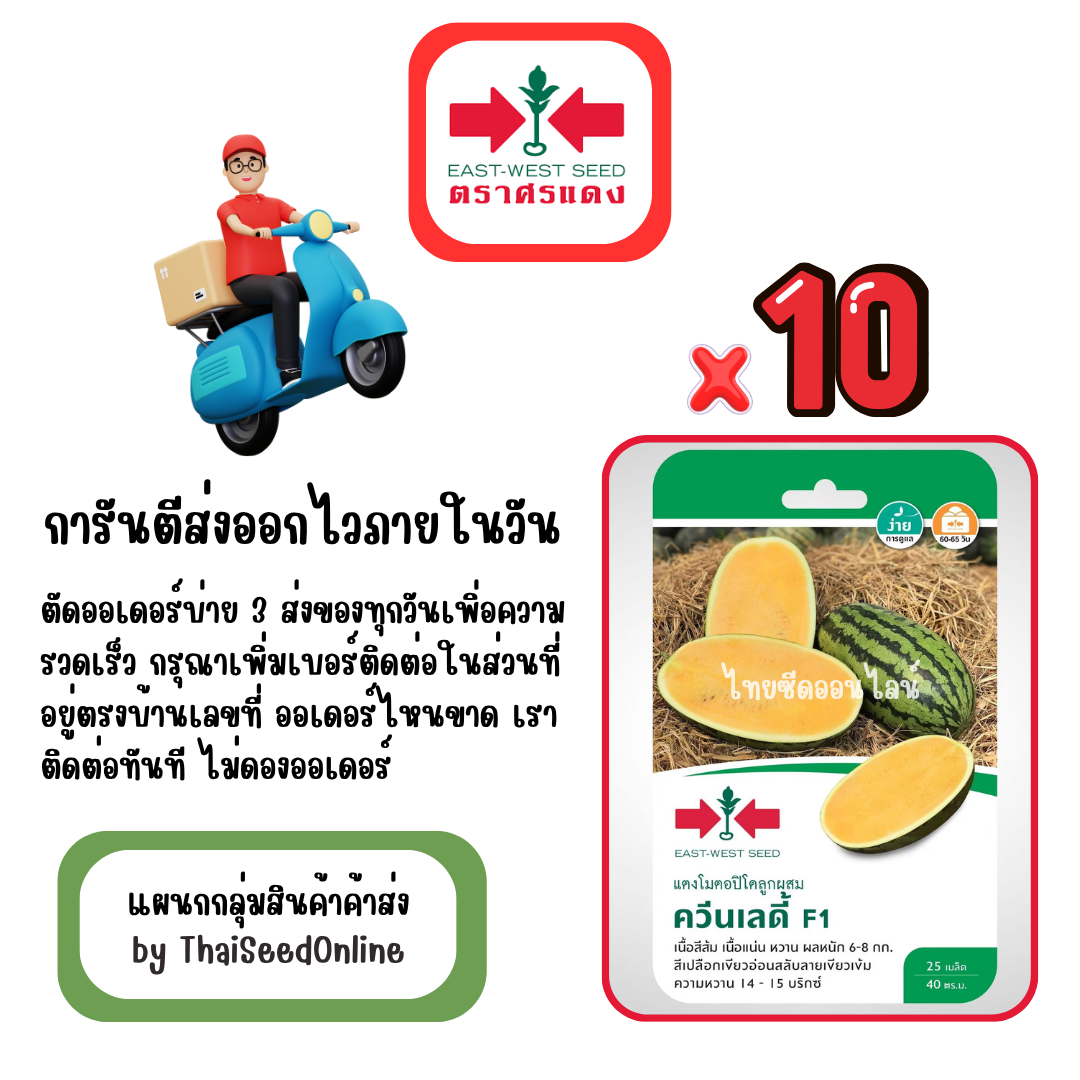 GGx10 เมล็ดผักซองศรแดง ควีนเลดี้ แตงโม สินค้ายกแพ็ค