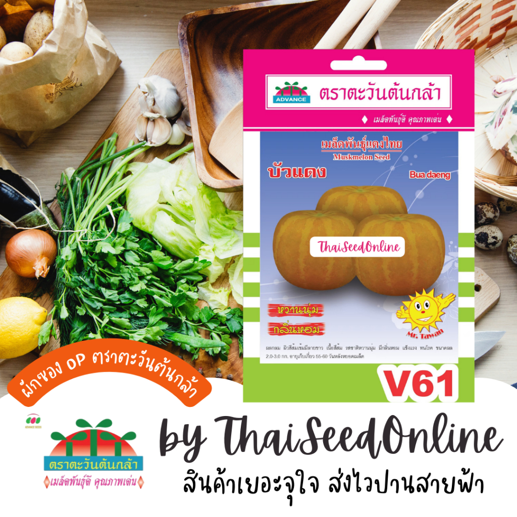 Advance Seeds(ตราตะวันต้นกล้า) ADVOP ซฟ เมล็ดพันธุ์ แตงไทย บัวแดง ตราตะวันต้นกล้า V61