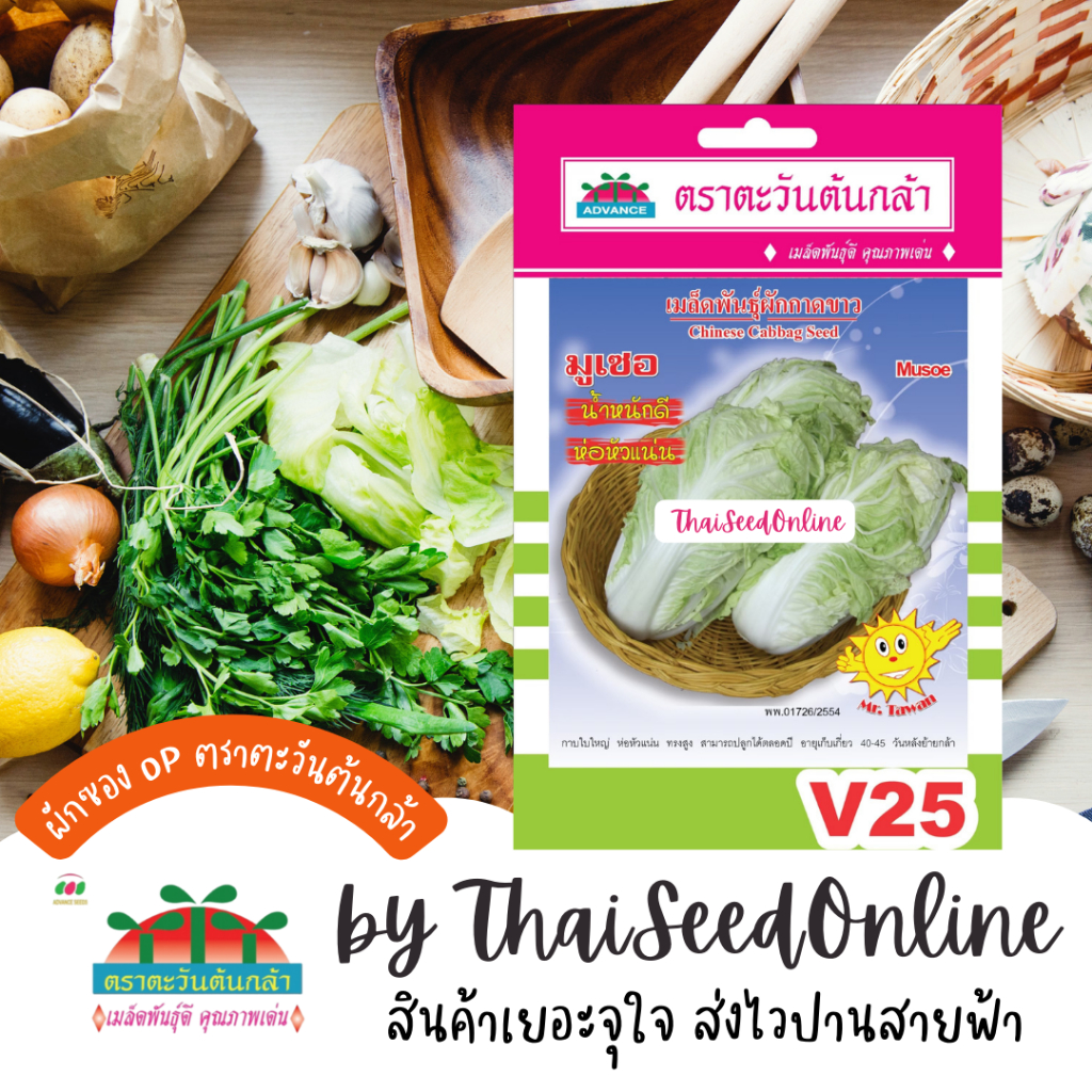 Advance Seeds(ตราตะวันต้นกล้า) ADVOP ซฟ เมล็ดพันธุ์ มูเซอ ผักกาดขาว ผักกาดขาวปลี ประมาณ 400 เมล็ด ตราตะวันต้นกล้า V25