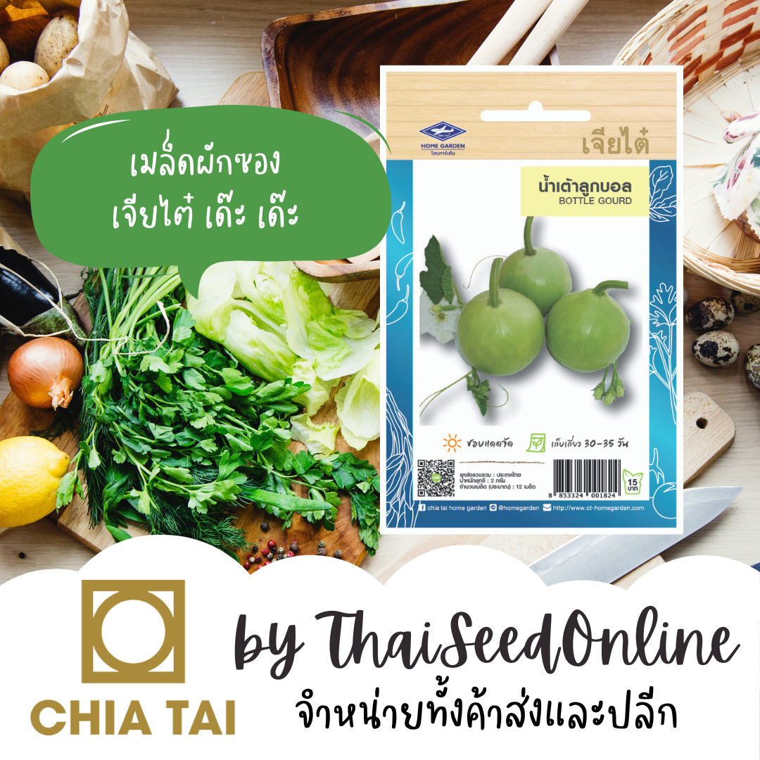 CTOP เมล็ดพันธุ์ น้ำเต้าลูกบอล 10 เมล็ด ตราเจียไต๋ น้ำเต้าลูกกลม น้ำเต้า