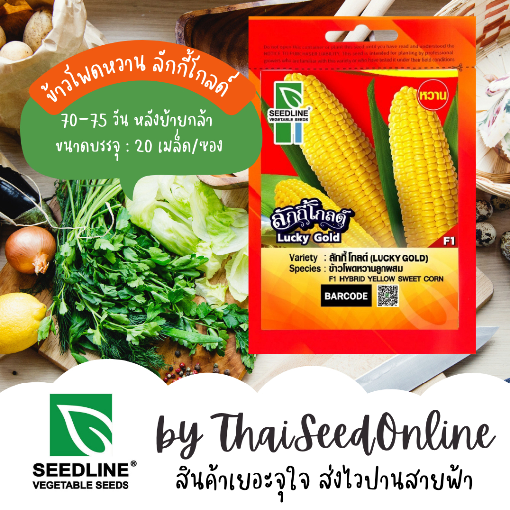 Seed Line(ซีดไลน์) SL เมล็ดพันธุ์ซองเล็ก ข้าวโพดหวาน ลักกี้โกลด์ ตราซีดไลน์