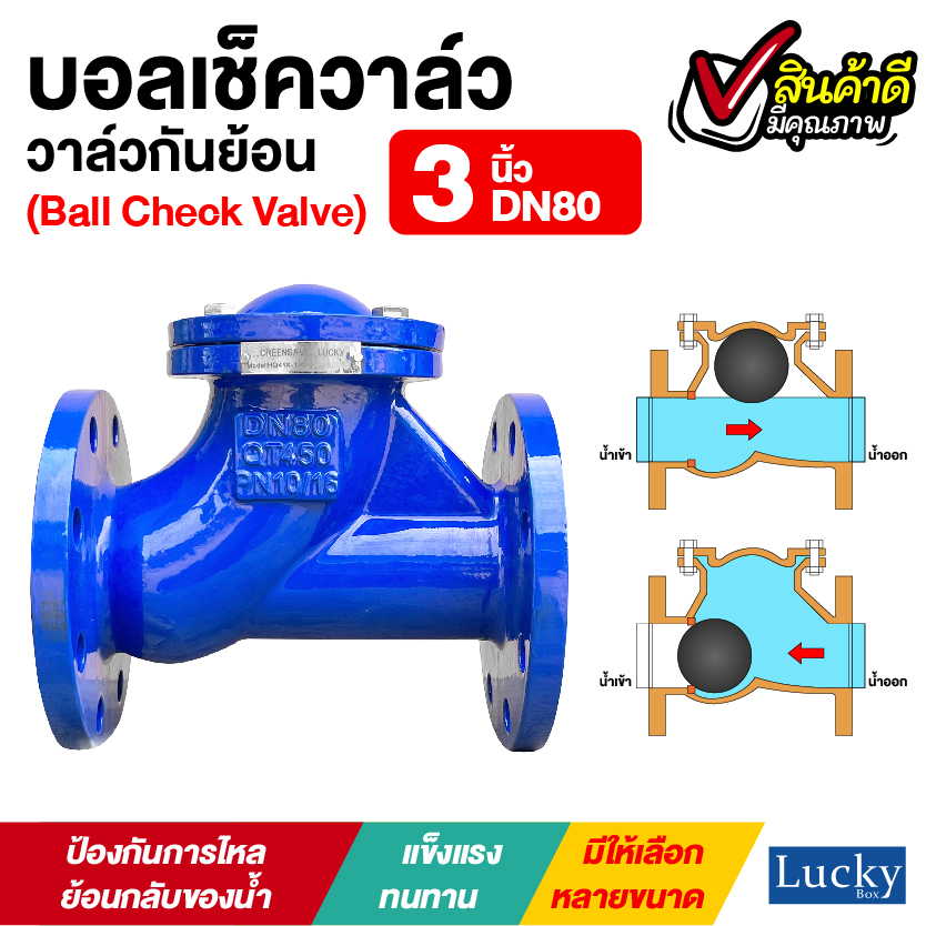 Ball Check Valve บอลเช็ควาล์ว มีหน้าแปลน ขนาด 3 นิ้ว