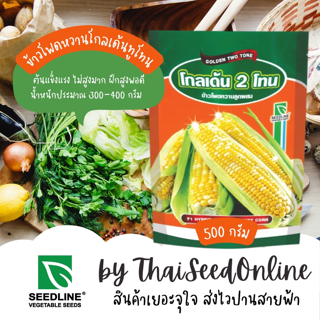 500 กรัม เมล็ดพันธุ์ ใหม่ล่าสุด😍 ข้าวโพดหวานสองสีโกลเด้นทูโทน 500 กรัม ตราซีดไลน์ Corn