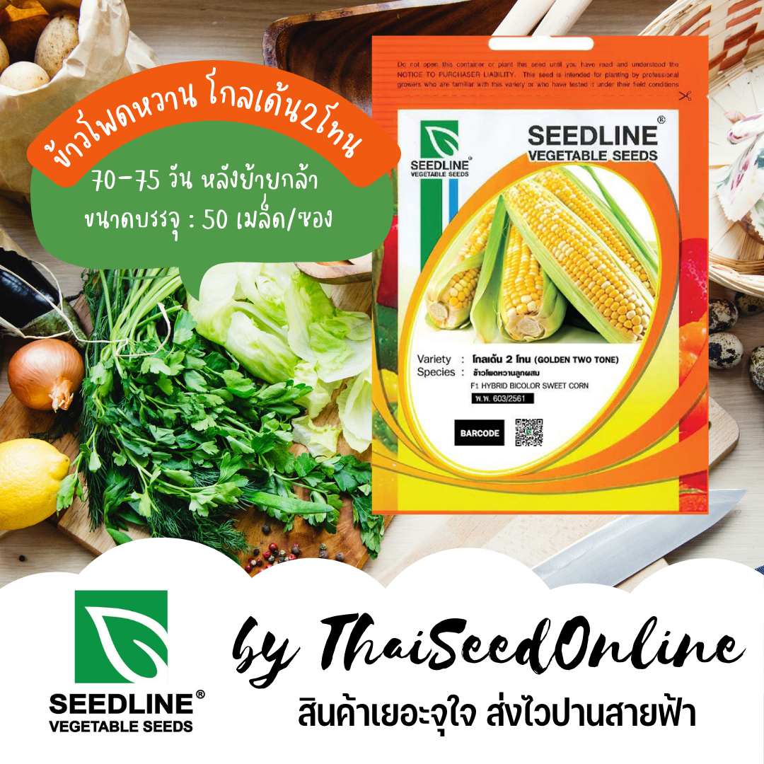 SL เมล็ดพันธุ์ซองเล็ก ข้าวโพดหวานลูกผสม โกลเด้นทูโทน (GOLDEN TWO TONES) ตราซีดไลน์ Corn