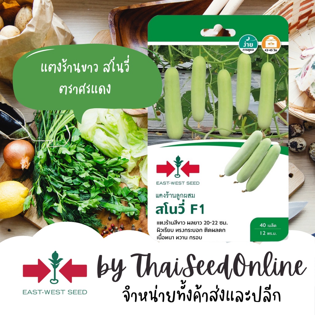 ตราศรแดง GGEW เมล็ดพันธุ์ แตงร้านสีขาวสโนวี่ 40 เมล็ด ตราศรแดง