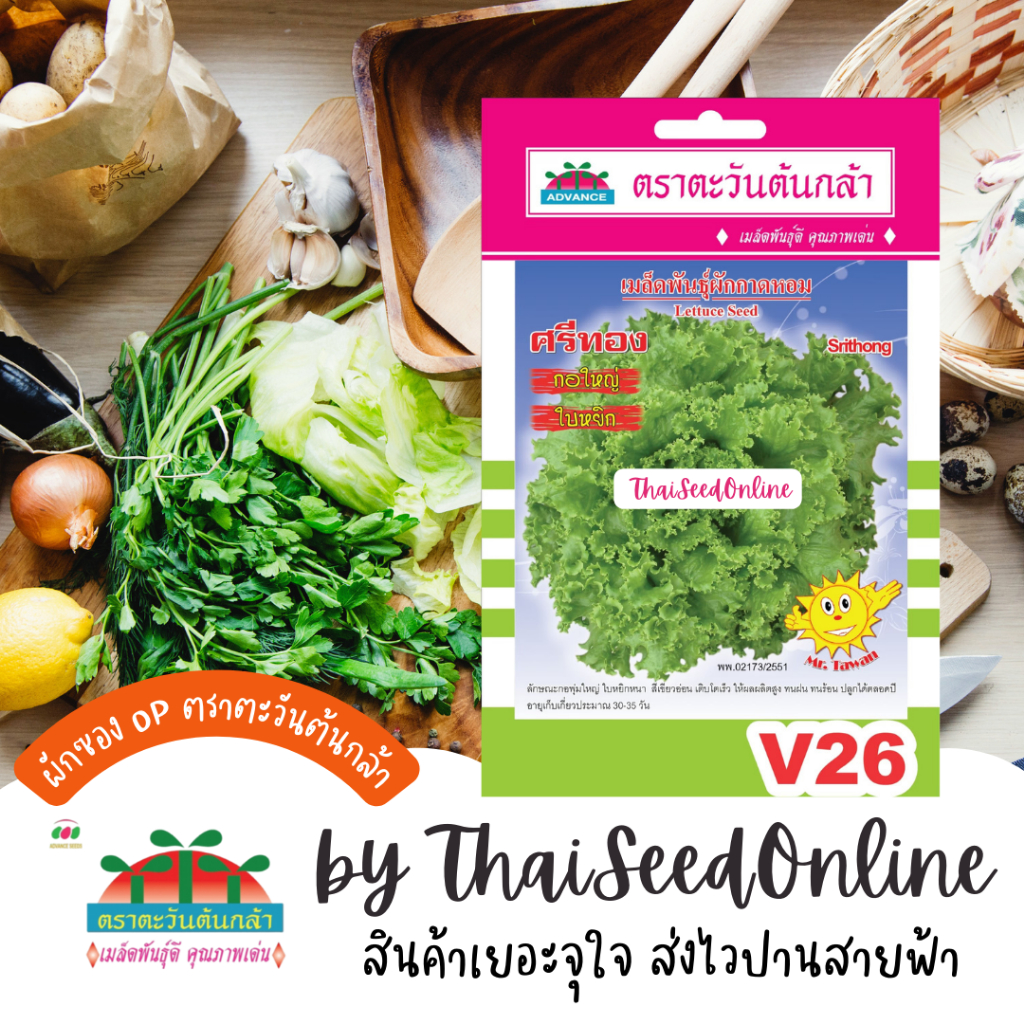Advance Seeds(ตราตะวันต้นกล้า) ADVOP ซฟ เมล็ดพันธุ์ ผักกาดหอม ศรีทอง ประมาณ 970 เมล็ด ตราตะวันต้นกล้า V26