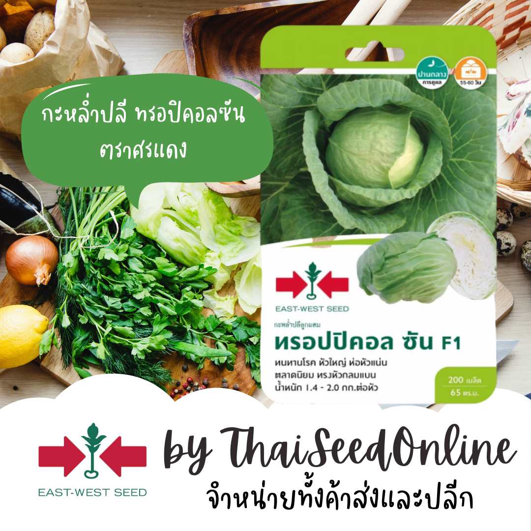 GGEW กะหล่ำปลี ทรอปิคอล ซัน 200 เมล็ด ตราศรแดง