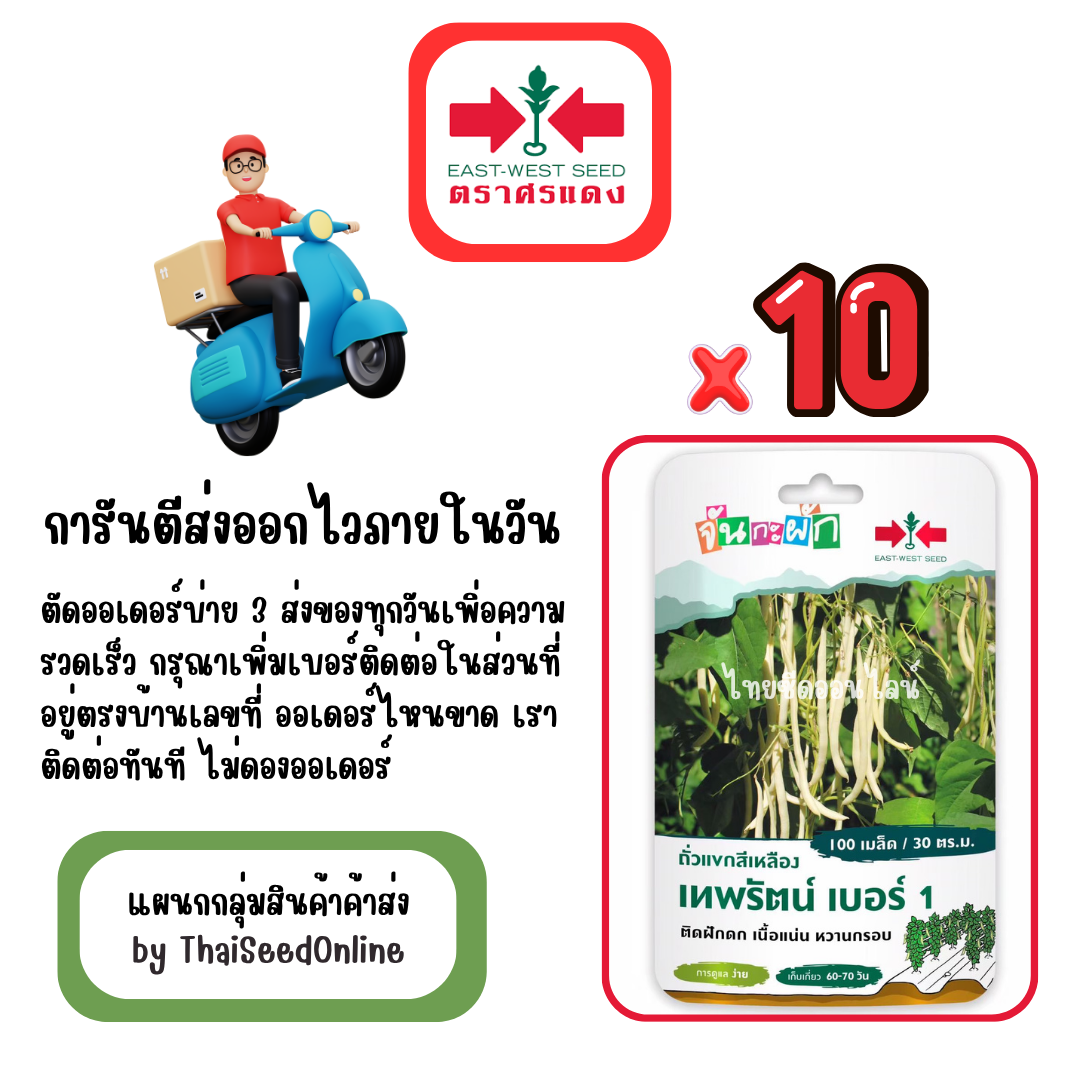 GGx10 เมล็ดผักซองศรแดง เทพรัตน์เบอร์1 ถั่วแขก สินค้ายกแพ็ค