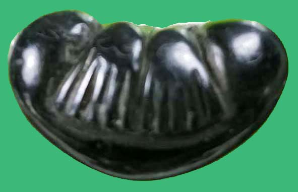 พระปิดตาหลวงพ่อปล้องวัดหลุมดิน องค์ที่ 1