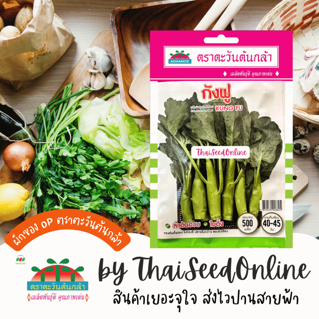 Advance Seeds(ตราตะวันต้นกล้า) Advance Seeds(ตราตะวันต้นกล้า) ADVOP คะน้ากังฟู ตราตะวันต้นกล้า Mushroom Kale