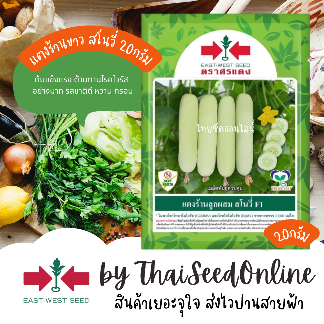ตราศรแดง EWCOM เมล็ดพันธุ์ แตงร้านสีขาว สโนวี่ 20กรัม ตราศรแดง แตงร้านขาว แตงขาว Cucumber
