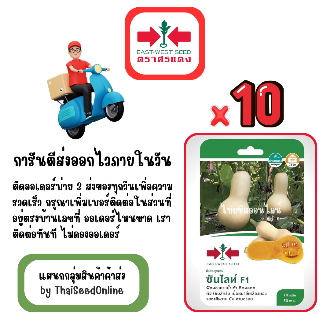 GGx10 เมล็ดผักซองศรแดง ซันไลท์ บัตเตอร์นัท ฟักทอง สินค้ายกแพ็ค