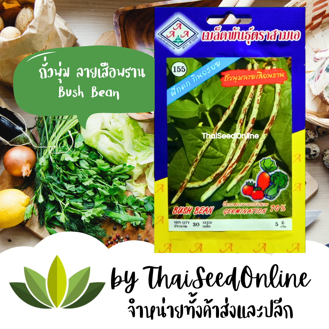 เมล็ดพันธุ์ ถั่วพุ่ม ถั่วฝักยาวพุ่ม ลายเสือพราน ตราตองสาม （333）เครือสามเอ (AAA）ถั่วไร้ค้าง ถั่วฝักยาวไร้ค้าง