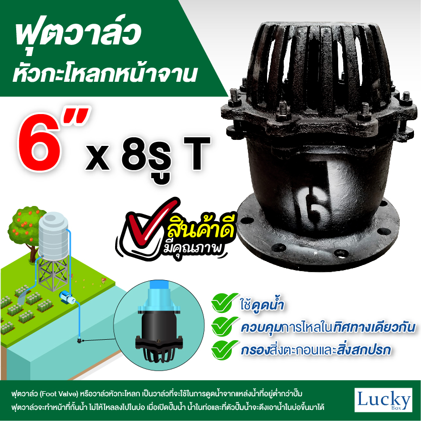 ฟุตวาล์ว (Foot Valve) วาล์วหัวกะโหลก หน้าจาน เหล็กหล่อ ขนาด 6 นิ้ว
