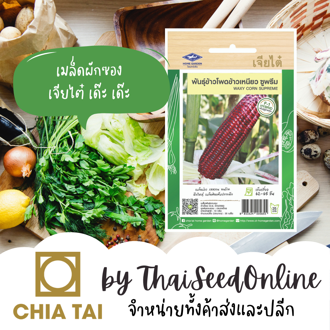 CTF1 เมล็ดพันธุ์ ข้าวโพดข้าวเหนียว ซูพรีม 10กรัม ตราเจียไต๋ ข้าวโพดสีม่วง ข้าวโพดข้าวเหนียวสีม่วง Waxy Corn