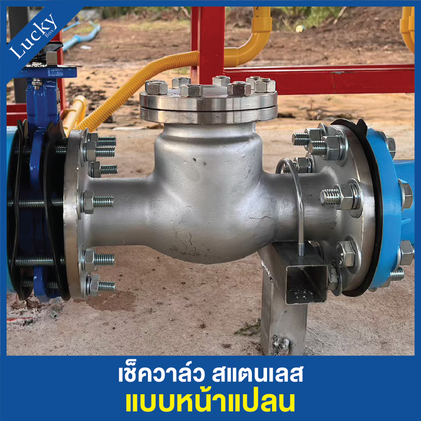 เช็ควาล์ว (Check Valve) เช็ควาล์วสแตนเลส แบบหน้าแปลน ขนาด 2 นิ้ว