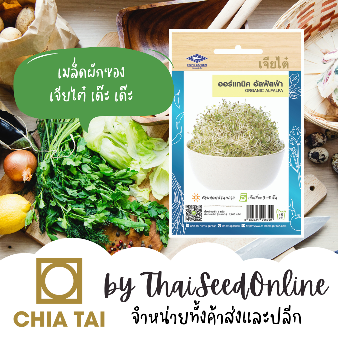 CTOP เมล็ดพันธุ์ ออร์แกนิค อัลฟัลฟ่า ประมาณ2000เมล็ด ตราเจียไต๋ Organic Alfalfa