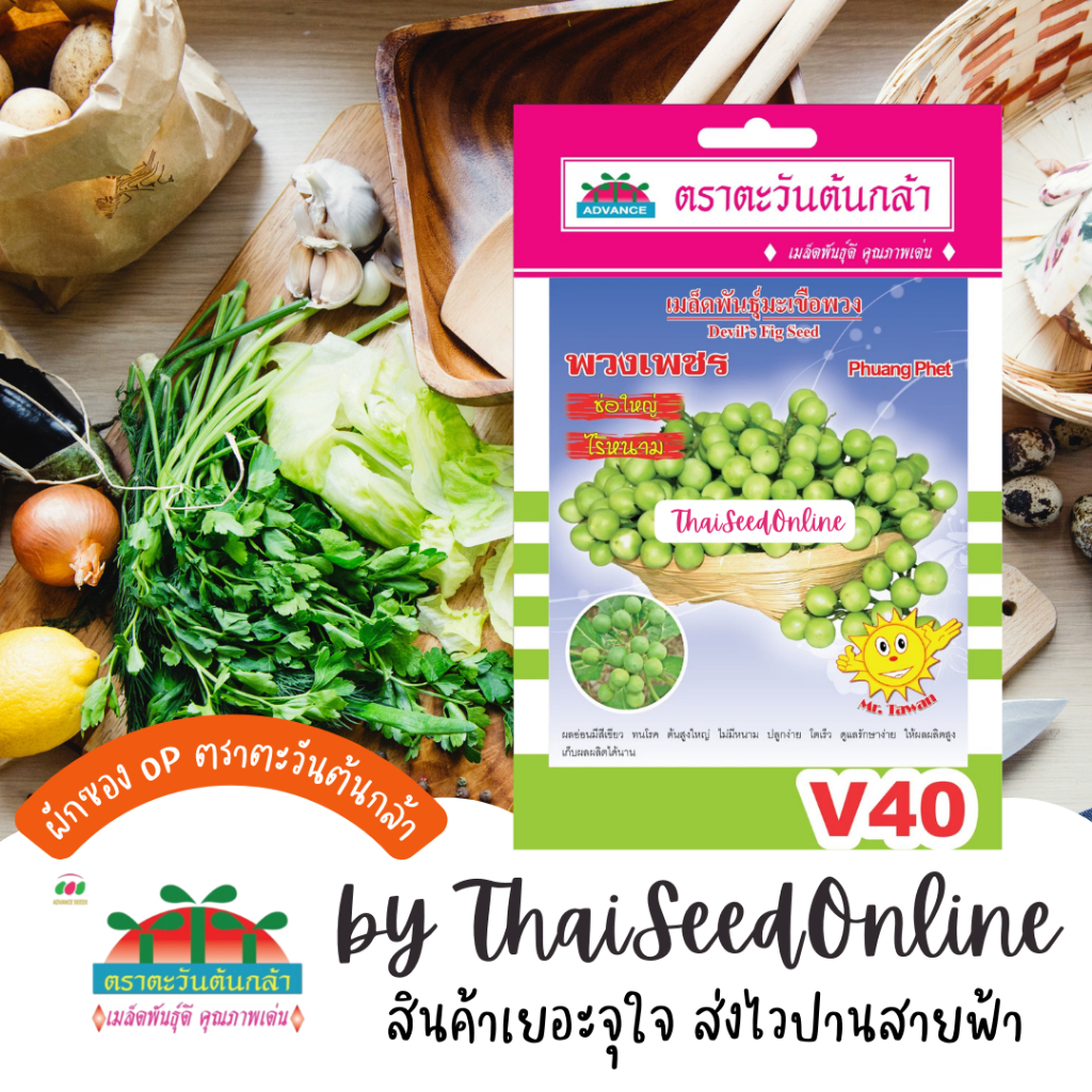 Advance Seeds(ตราตะวันต้นกล้า) ADVOP ซฟ เมล็ดพันธุ์ มะเขือพวง พวงเพชร ตราตะวันต้นกล้า V40