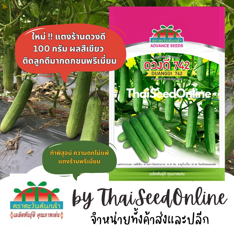 Advance Seeds(ตราตะวันต้นกล้า) ADVCOM เมล็ดพันธุ์ แตงร้านดวงดี 742 ดวงดี742 100กรัม ตราตะวันต้นกล้า F1 Cucumber DuangDee742