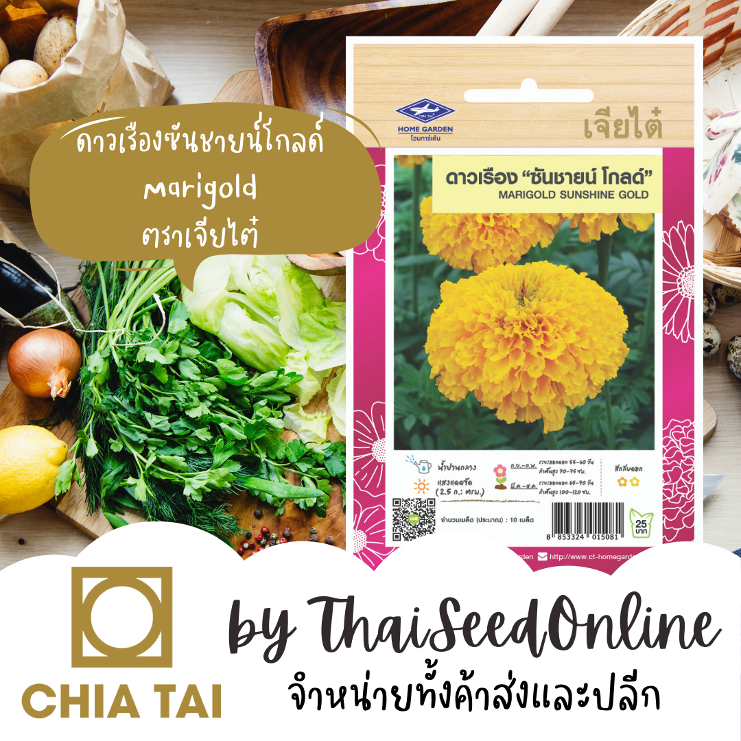 CTFW เมล็ดพันธุ์ ดาวเรืองซันชายน์โกลด์ ตราเจียไต๋ Marigold เมล็ดดอกไม้ เมล็ดพันธุ์ดอกไม้