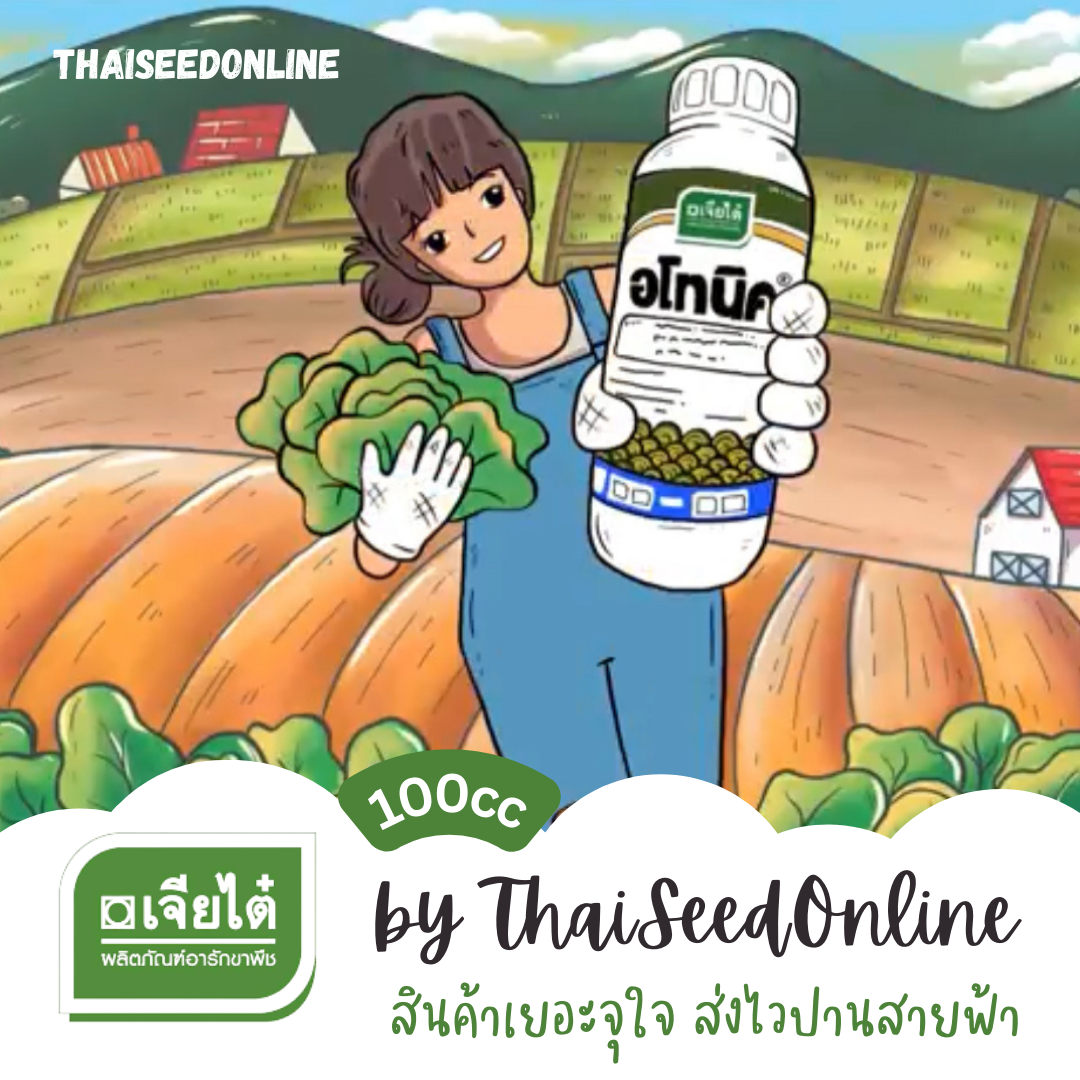 CTCOM ผลิตใหม่ 8/2567 อโทนิค 100 ซีซี ตราเจียไต๋