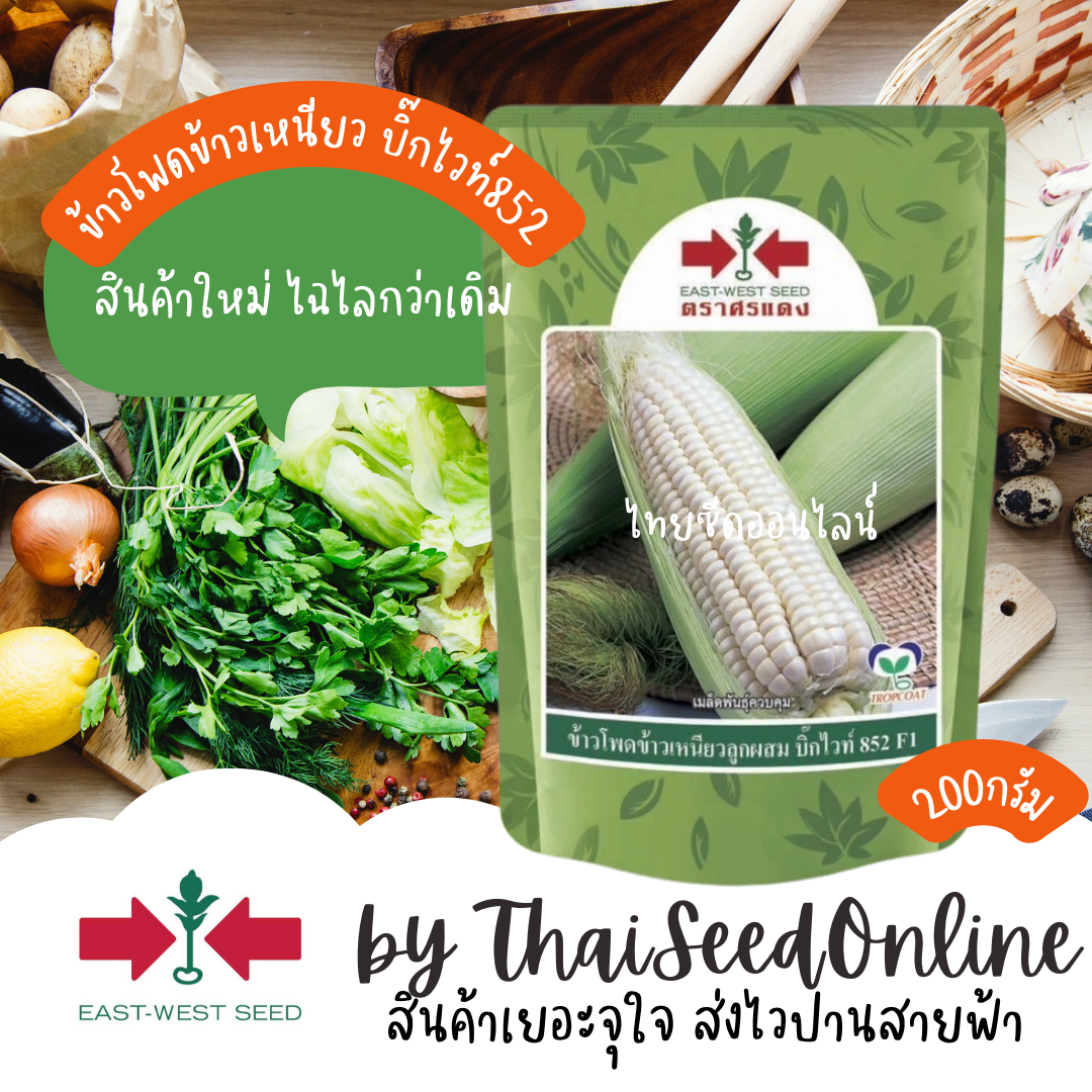 EWCOM 200กรัม ข้าวโพดลูกผสมข้าวโพดข้าวเหนียวบิ๊กไวท์852 ตราศรแดง Corn