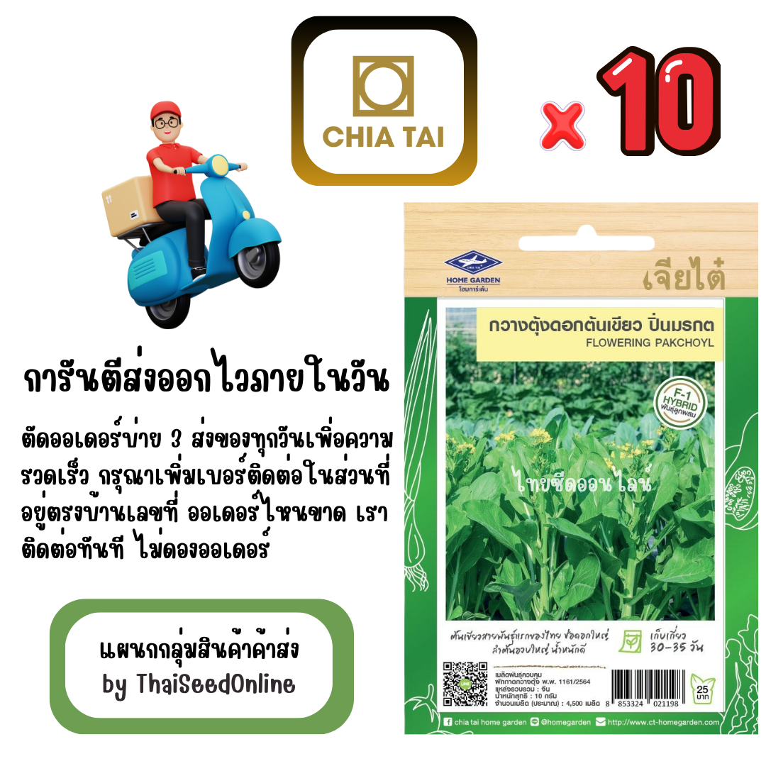 CTF1 x 10 เมล็ดผักซองเจียไต๋ กวางตุ้งดอก ปิ่นมรกต สินค้ายกแพ็ค