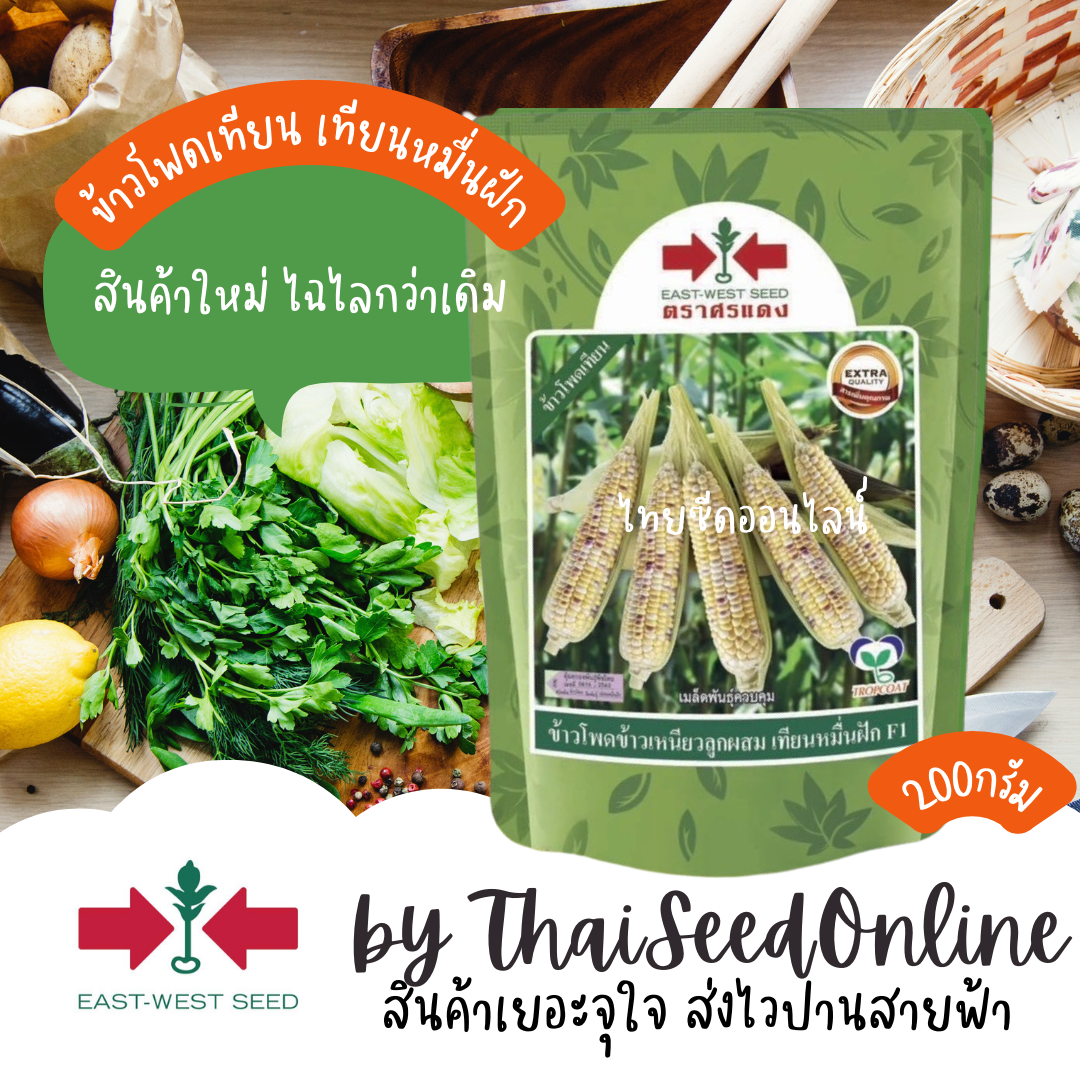 EWCOM ถุง 200 กรัม ข้าวโพดข้าวเหนียวเทียนหมื่นฝัก ข้าวโพดเทียน ตราศรแดง Corn เทียนสามสี